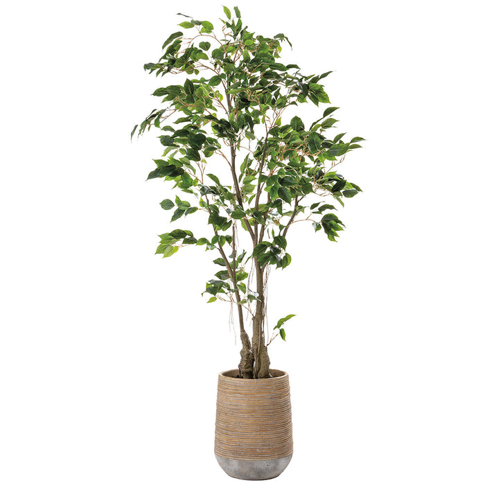 5'6"Hx32"W Ficus Leaf Artificial Tree w/Cement Planter -Green - WT0711-GR