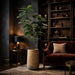 6'8"Hx32"W Fiddle Leaf Fig Artificial Tree w/Cement Planter -Green - WT0712-GR