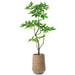 6'4"Hx36"W Pachira Leaf Artificial Tree w/Cement Planter -Green - WT0713-GR