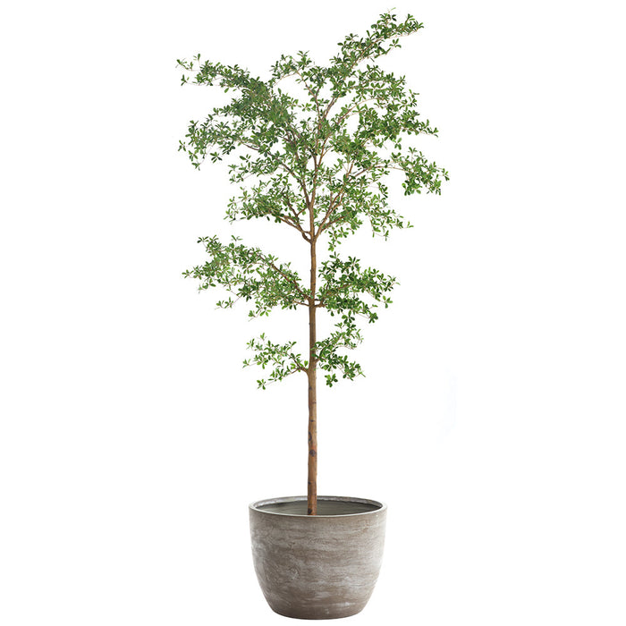 9'6"Hx48"W Shady Lady Olive Silk Tree w/Cement Planter -Green - WT0715-GR