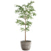 9'6"Hx48"W Shady Lady Olive Silk Tree w/Cement Planter -Green - WT0715-GR