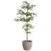 7'6"Hx36"W Shady Lady Olive Silk Tree w/Cement Planter -Green - WT0717-GR