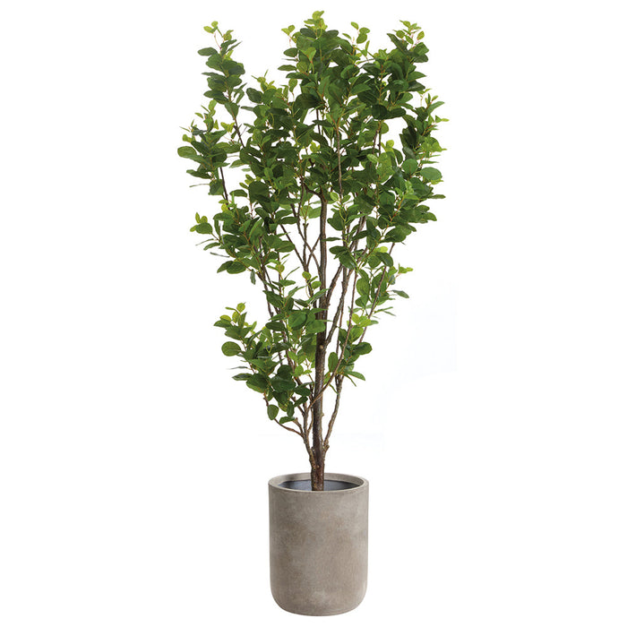 7'1"Hx34"W Chinese Banyan Silk Tree w/Cement Pot -Green - WT0720-GR