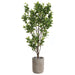 7'1"Hx34"W Chinese Banyan Silk Tree w/Cement Pot -Green - WT0720-GR