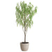 8'10"Hx54"W Pepperberry Silk Tree w/Cement Planter -Green - WT0721-GR