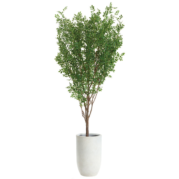 9'7"Hx60"W Cinamomo Chinaberry Silk Tree w/Cement Planter -Green - WT0722-GR