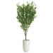 9'7"Hx60"W Cinamomo Chinaberry Silk Tree w/Cement Planter -Green - WT0722-GR