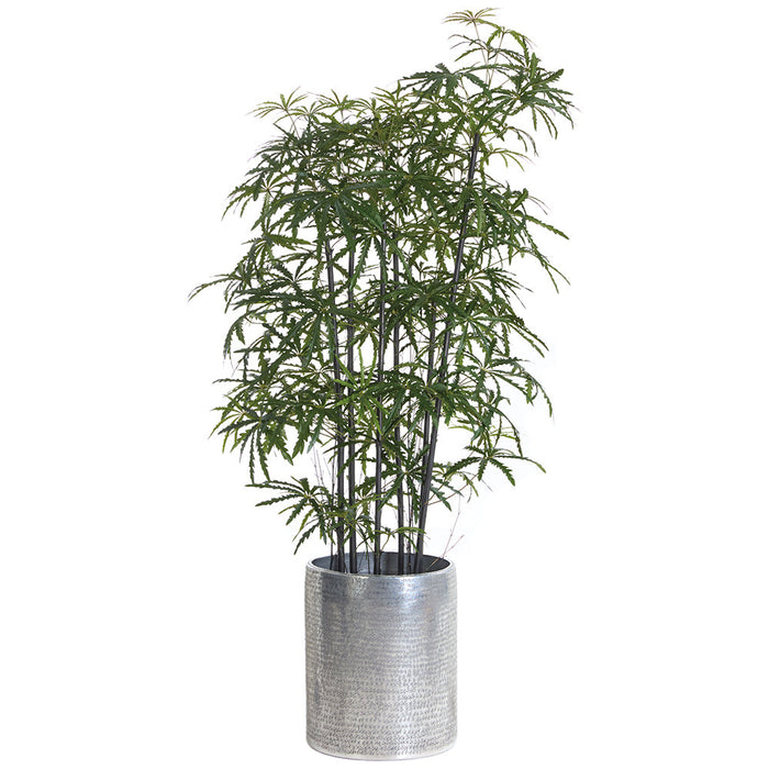 7'Hx46"W Ming Aralia Silk Tree w/Metal Planter -2 Tone Green - WT0726-GR/TT