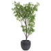 7'2"Hx52"W Ming Aralia Silk Tree w/Metal Planter -Green - WT0728-GR