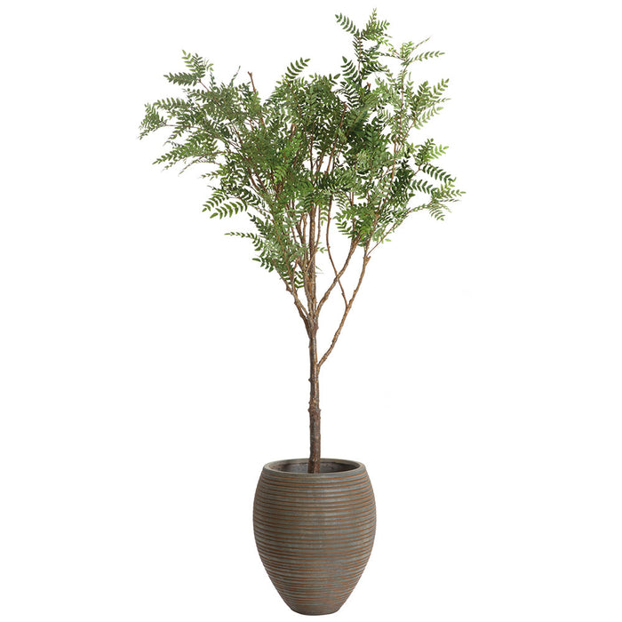 8'Hx60"W Locust Silk Tree w/Fiber Clay Pot -Green - WT0729-GR