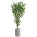 8'Hx48"W Cinamomo Chinaberry Silk Tree w/Cement Planter -Green - WT0730-GR