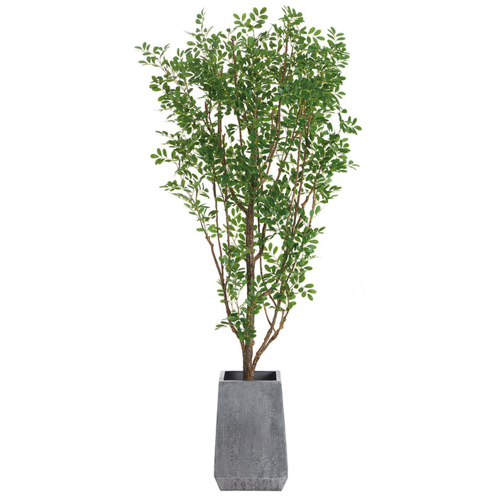 6'8"Hx32"W Cinamomo Chinaberry Silk Tree w/Metal Planter -Green - WT0732-GR