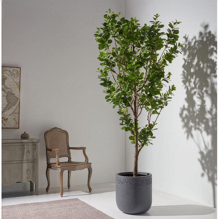 8'Hx48"W Chinese Banyan Silk Tree w/Clay Planter -Green - WT0733-GR