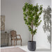 8'Hx48"W Chinese Banyan Silk Tree w/Clay Planter -Green - WT0733-GR