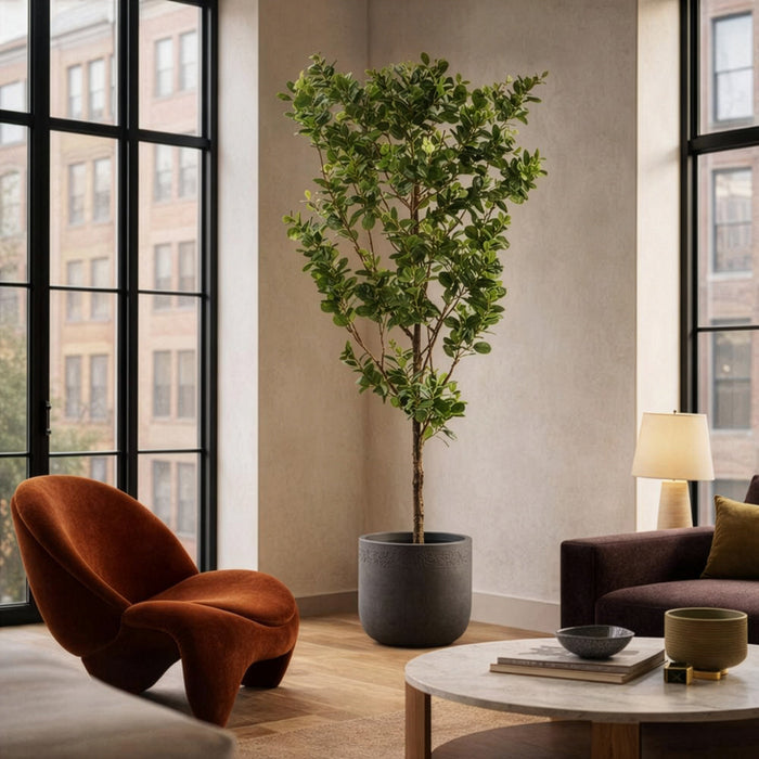 8'Hx48"W Chinese Banyan Silk Tree w/Clay Planter -Green - WT0733-GR