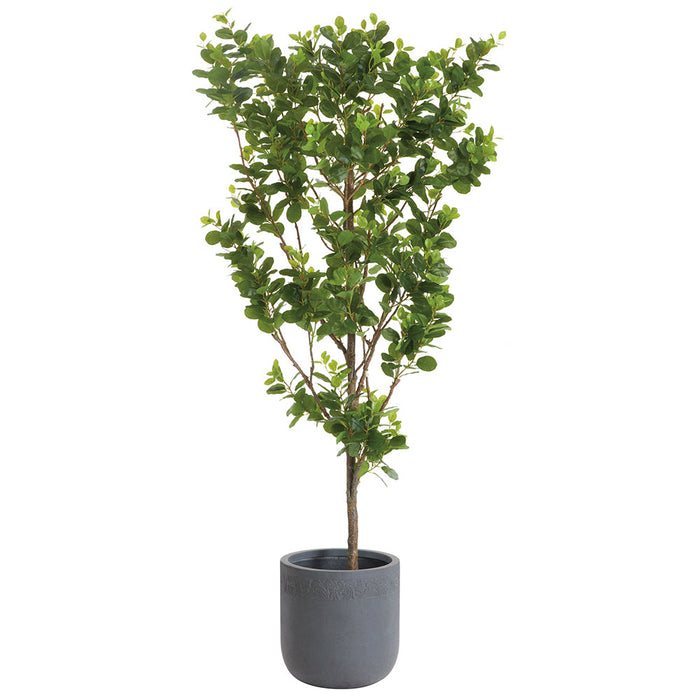 8'Hx48"W Chinese Banyan Silk Tree w/Clay Planter -Green - WT0733-GR