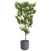 8'Hx48"W Chinese Banyan Silk Tree w/Clay Planter -Green - WT0733-GR