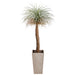 6'6" Silk Desert Palm Tree w/Cement Planter -Green/Gray - WT1726-GR/GY