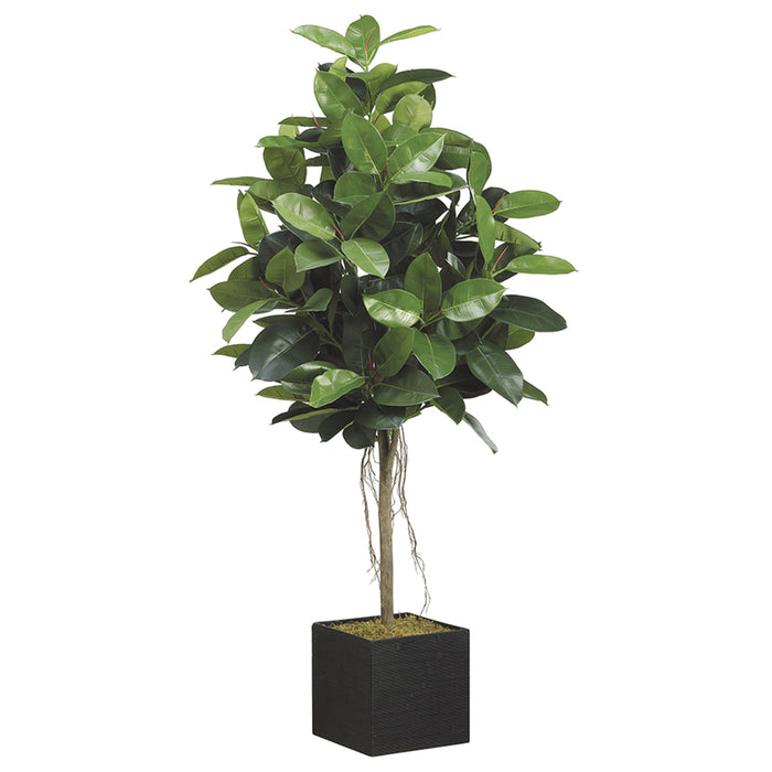6'6" Rubber Leaf Silk Tree w/Bamboo Container -Green - WT4727-