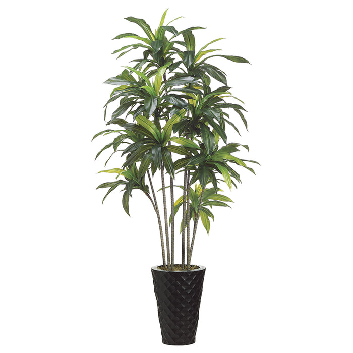 6' Exotic Dracaena Silk Tree w/Metal Container -Green - WT4753-GR