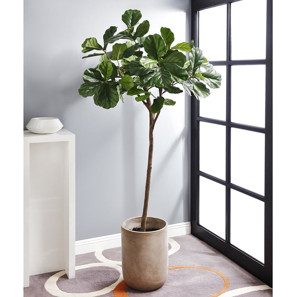 7' Fiddle Leaf Fig Silk Tree w/Fiber Cement Planter -Green - WT4920-GR