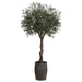 10' Olive Silk Tree w/Fiber Cement Planter -Green - WT4950-GR