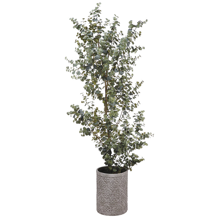 8' Eucalyptus Silk Tree w/Cement Pot -Green - WT4973-GR