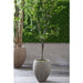 6' Laurel Silk Tree w/Fiber Clay Planter -Green - WT4991-GR