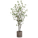 6' Cornus Silk Tree w/Terra Cotta Planter -Green - WT4997-GR