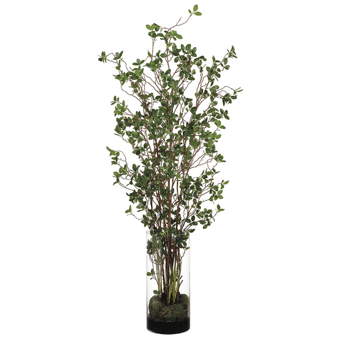 5' Mini Leaf Silk Plant w/Cylinder Glass Vase -Green - WT4999-GR