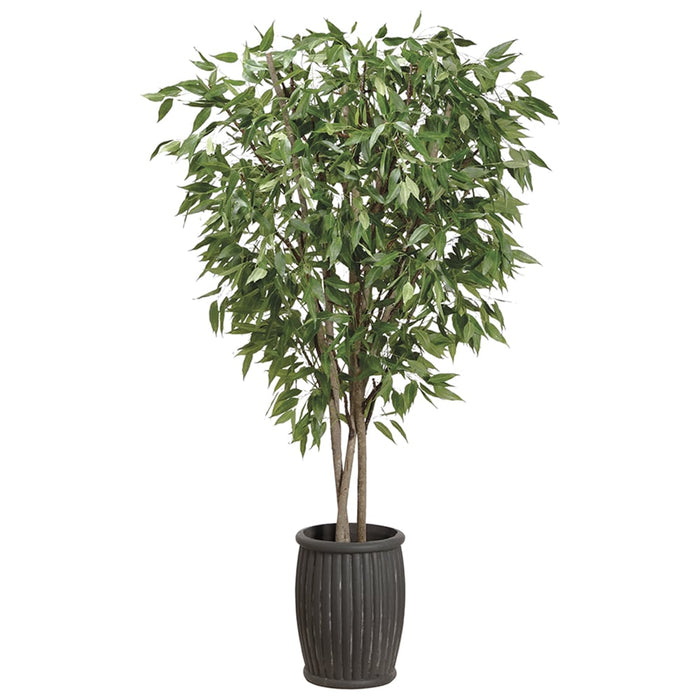 10' Eucalyptus Silk Tree w/Cement Planter -Green - WT5040-GR