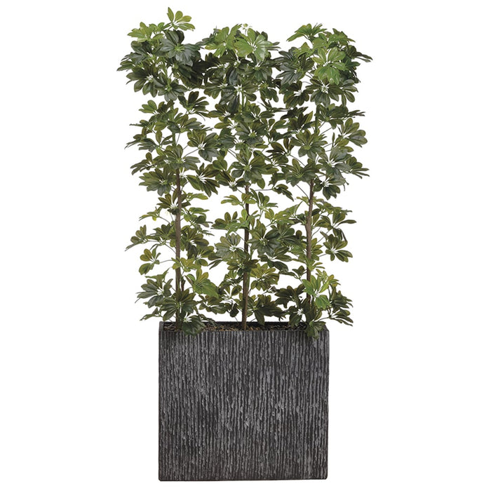 6'6" EVA Schefflera Wall Divider Silk Tree w/Container -Green - WT5047-GR