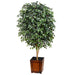 7' Silk Ficus Tree w/Wood Container -Green - WT5057-GR