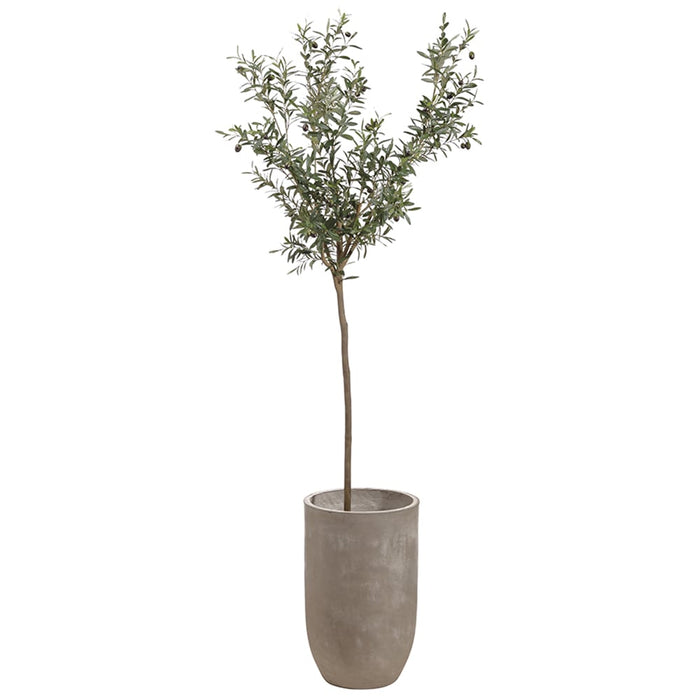 8' Silk Olive & Berry Tree w/Cement Planter -Green - WT5061-GR/TT