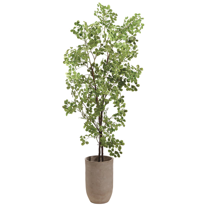 8'6" Silk Peperomia Tree w/Cement Planter -Green - WT5064-GR