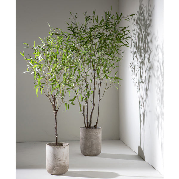6'6" Silk Bamboo Tree w/Cement Planter -Green - WT5079-GR