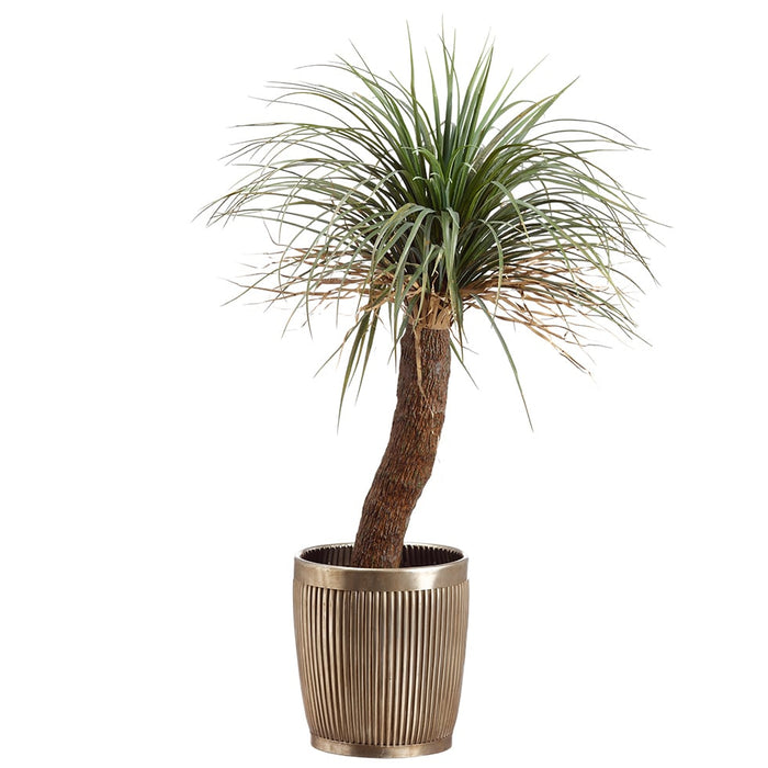 45" Silk Desert Palm Tree w/Metal Planter -Green - WT5085-GR