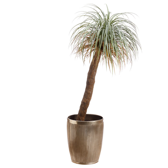 7' Silk Desert Palm Tree w/Metal Planter -Green - WT5086-GR