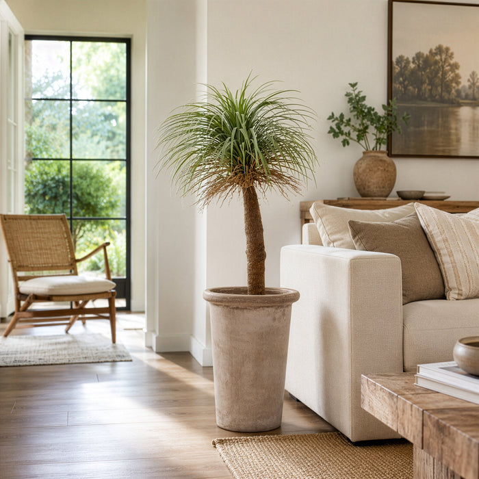 6' Silk Desert Palm Tree w/Cement Planter -Green - WT5087-GR