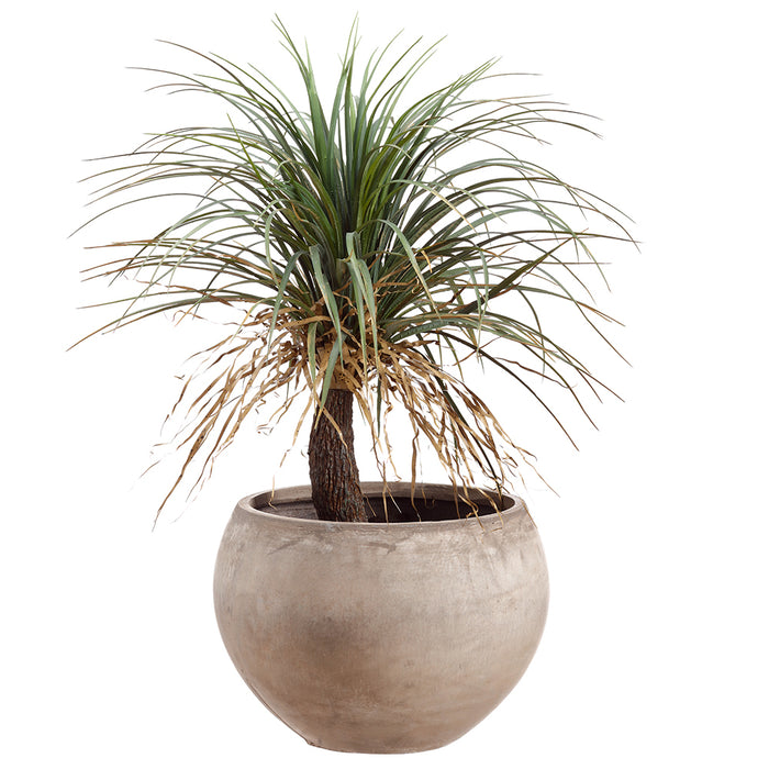 planter with palm tree 39.5" Silk Desert Palm Tree w/Cement Planter -Green