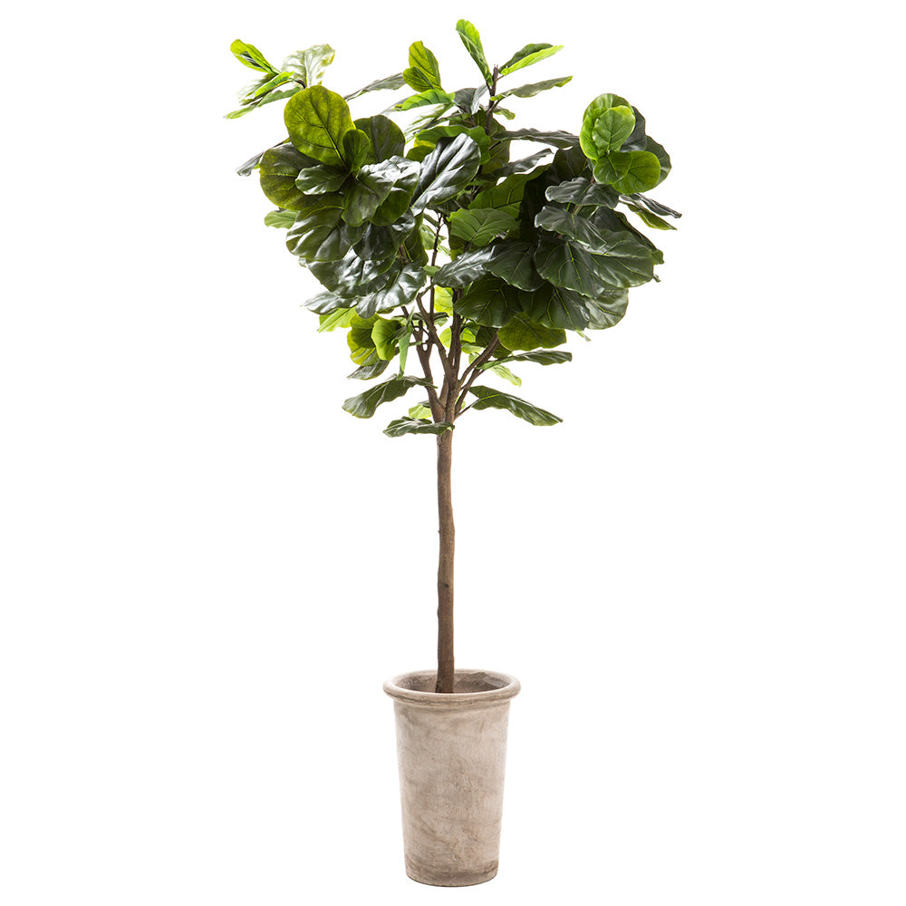 10' Silk Fiddle Leaf Fig Tree w/Cement Planter Green — Silks Are Forever