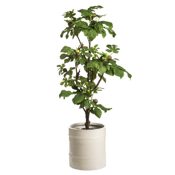 5'4" Silk Fig Fruiting Tree w/Planter -Green - WT5514-GR