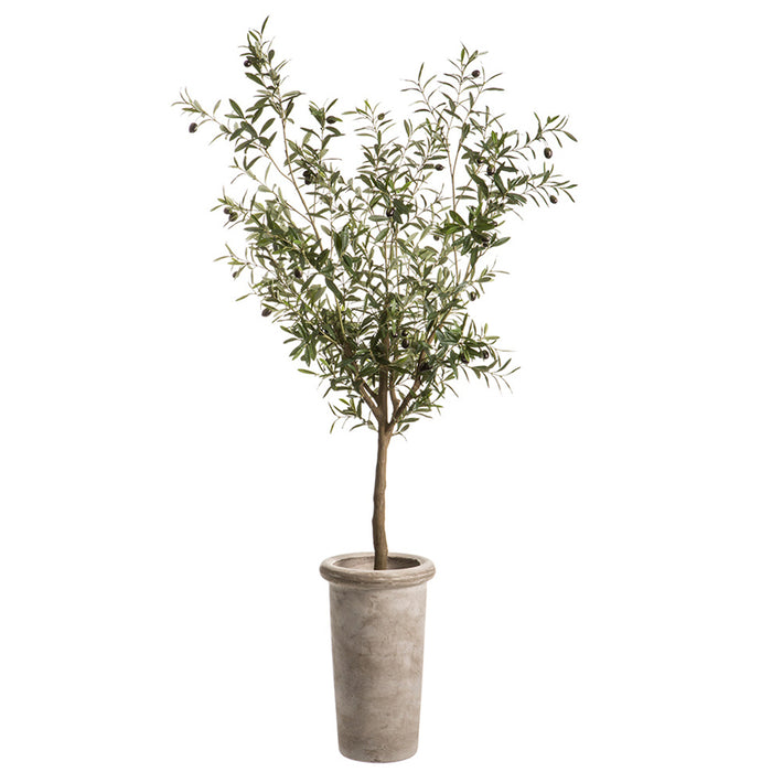 6' Olive Silk Tree w/Cement Planter -Green - WT5517-GR