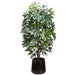 7'6" Schefflera Silk Tree w/Black Pot -Green/Black - WT5519-GR/BK