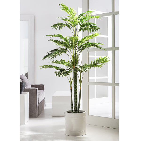 6'1" Silk Areca Palm Tree w/White Planter -Green/White - WT5521-GR/WH