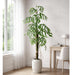 6'7"Hx32"W Split Philodendron Monstera Leaf Silk Plant w/Terra Cotta Planter -Green - WT8010-GR