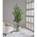 6'6"Hx32"W Ficus Benjamina Silk Tree w/Fiber Cement Planter -Green - WT8012-GR