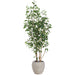 6'6"Hx32"W Ficus Benjamina Silk Tree w/Fiber Cement Planter -Green - WT8012-GR