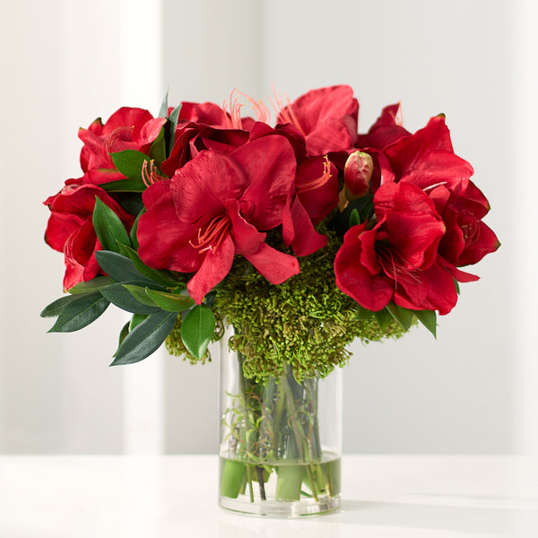 17" Silk Amaryllis Flower, Skimmia & Sedum Arrangement w/Glass Vase -Red/Green - WX8084-RE/GR