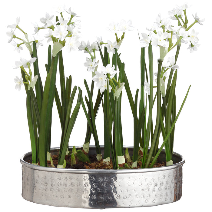 17.5"Hx13.5"W Paperwhite Silk Flower Arrangement w/Aluminum Plate -White/Green - WZ0131-WH/GR